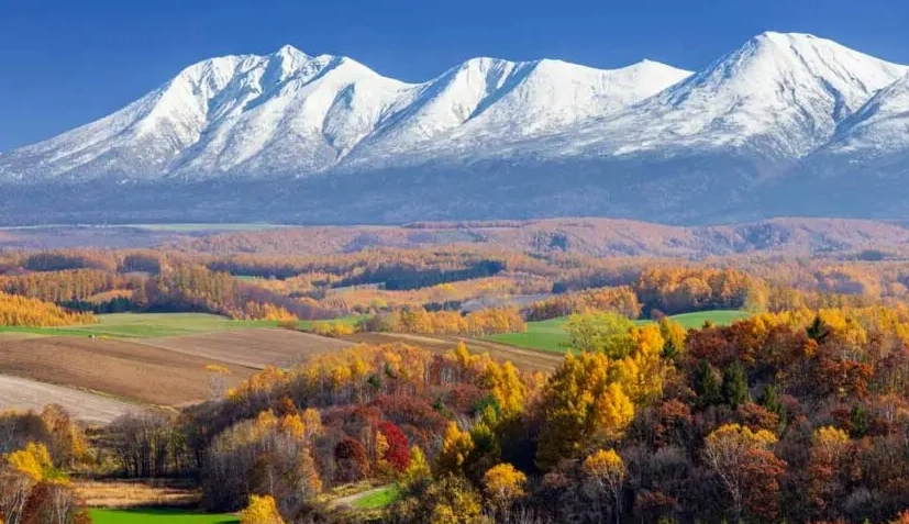 北海道10月自駕遊攻略：紅葉絕景、路線規劃與自駕必知事項