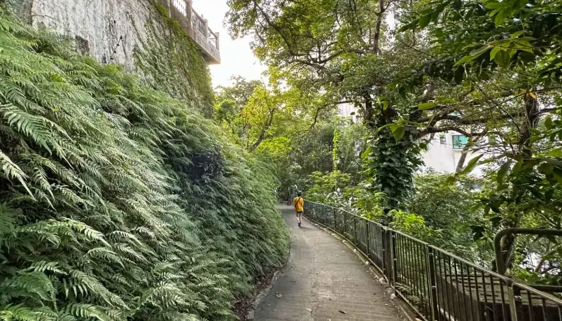 登山安全指南 登山安全指南