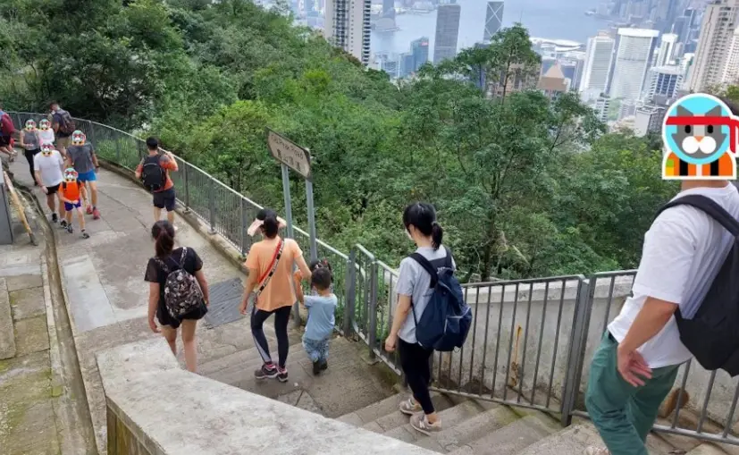 山頂下山路線 山頂下山路線