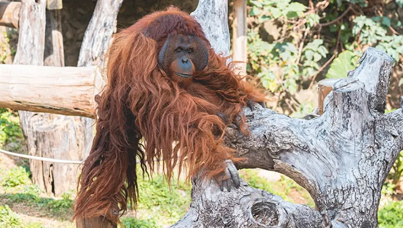 新竹一日遊 新竹一日遊