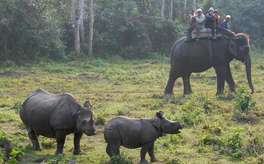 尼泊爾旅行安全 尼泊爾旅行安全