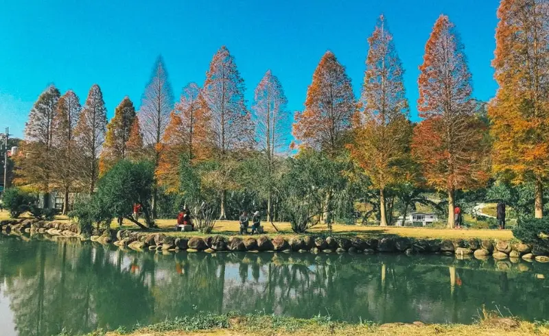 新竹景點一日遊攻略：在地人帶你玩透風城精華路線