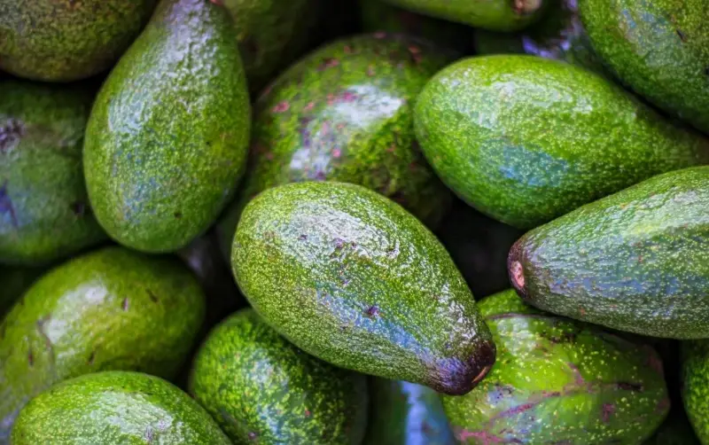 酪梨壞處有哪些？營養師解析3大關鍵與安全吃法