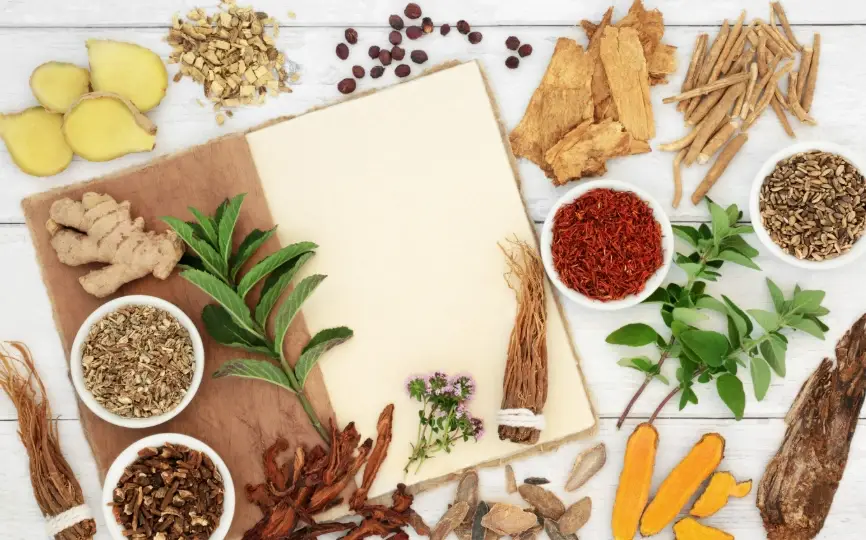 中藥調理肝腎 中藥調理肝腎