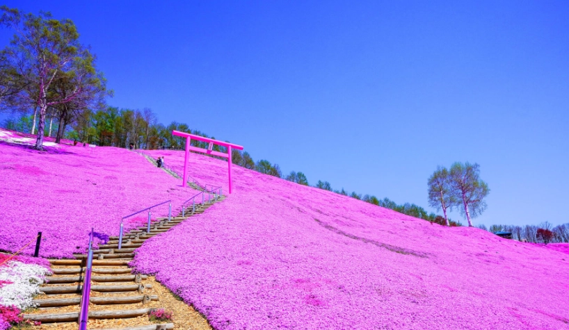 知床五湖步道 知床五湖步道