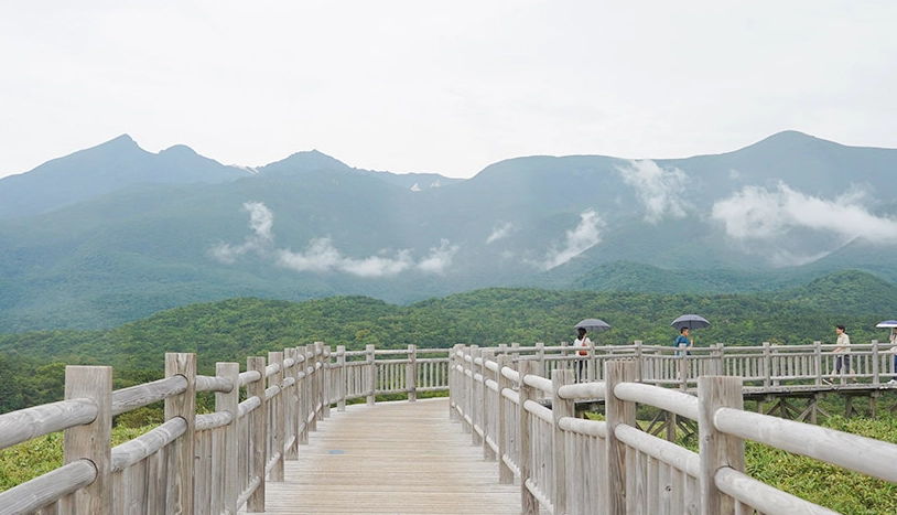 網走流冰觀光船 網走流冰觀光船