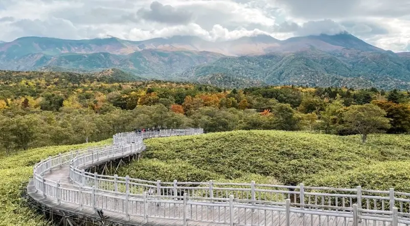 北海道旅遊攻略