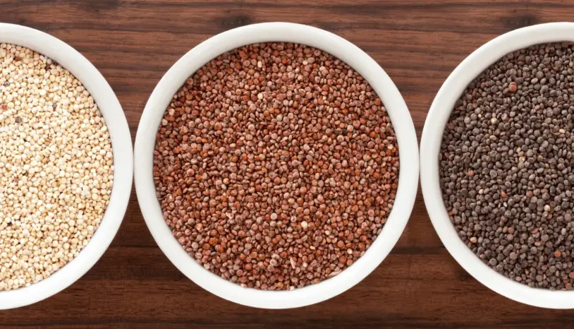 藜麥食譜 藜麥食譜