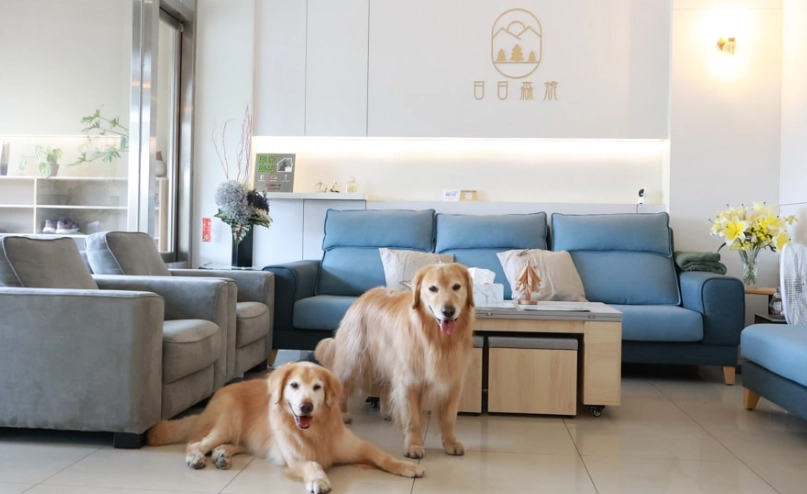 彰化寵物友善民宿