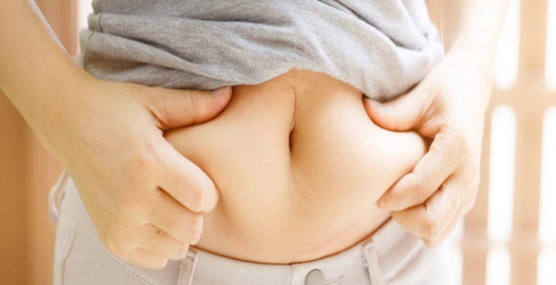 脂肪代謝 脂肪代謝