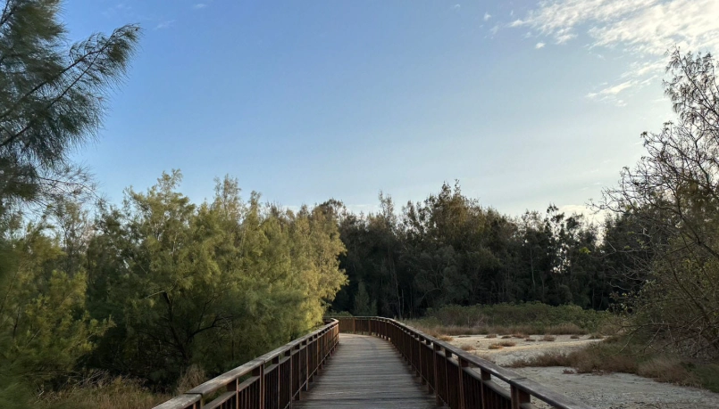 嘉義開車行程 嘉義開車行程