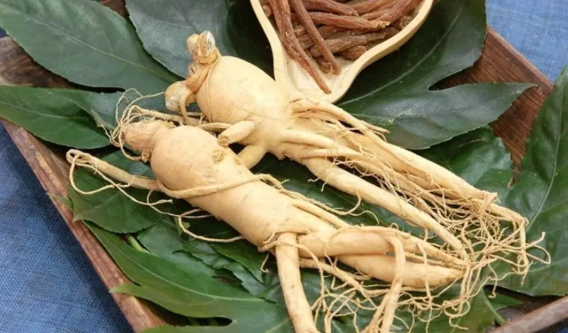 高麗人參副作用 高麗人參副作用