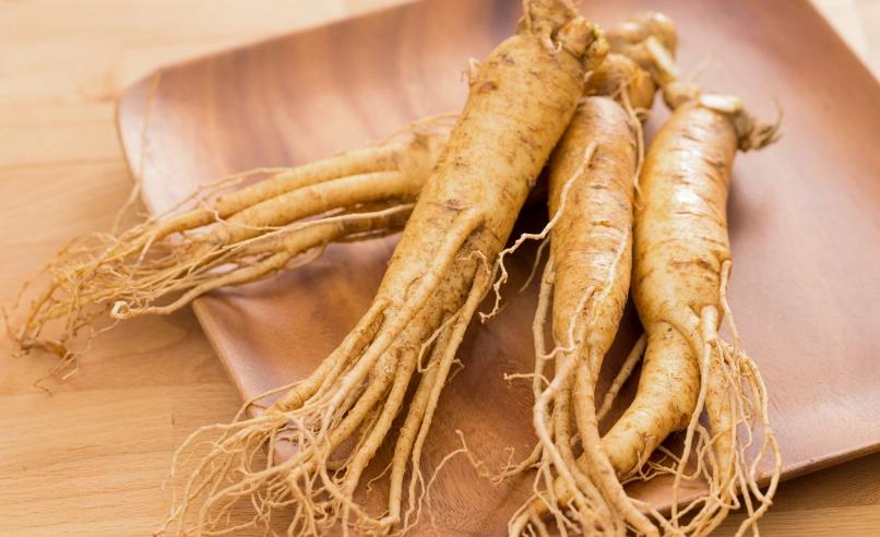 高麗人參副作用 高麗人參副作用