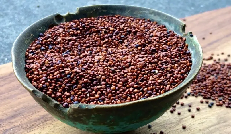 誰不能吃紅藜麥