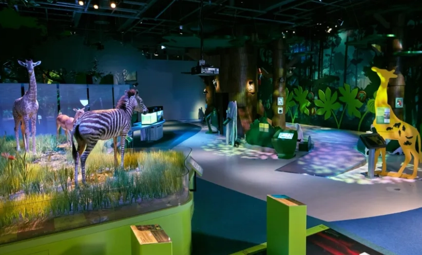 香港島室內活動 香港島室內活動