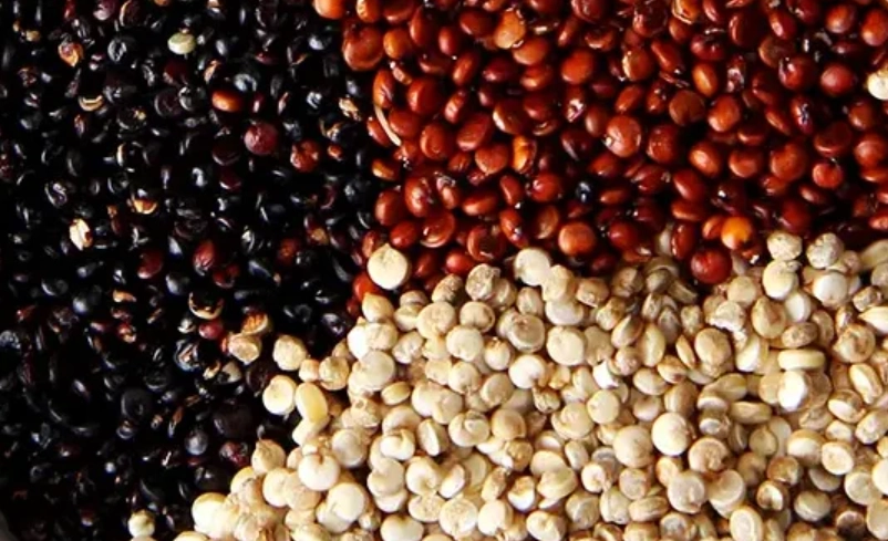 健康飲食 健康飲食