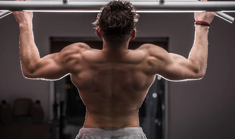 練背動作 練背動作