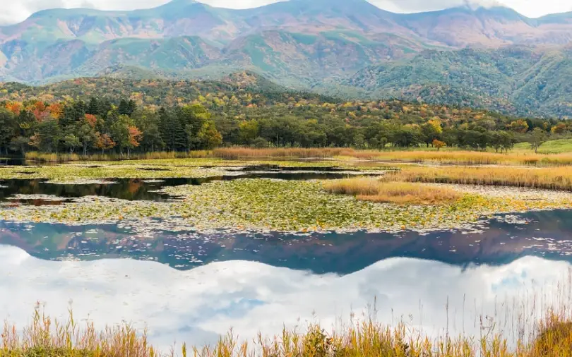北海道道東景點