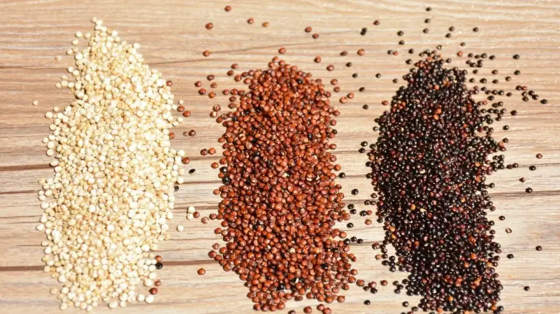 健康飲食 健康飲食