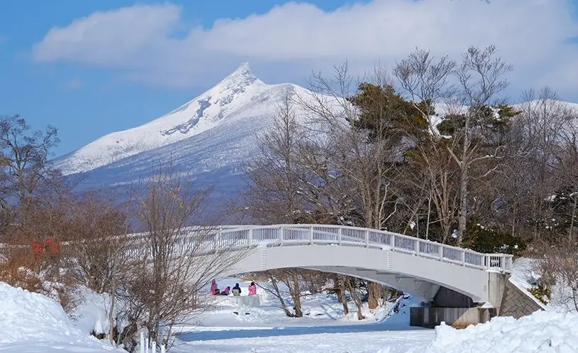 東北海道景點終極指南：網走流冰、知床祕境、釧路濕原深度玩法