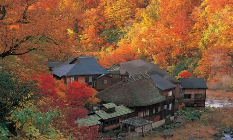 乳頭溫泉 巴士 乳頭溫泉 巴士