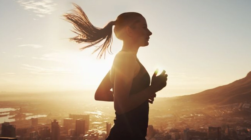 脂肪代謝 脂肪代謝