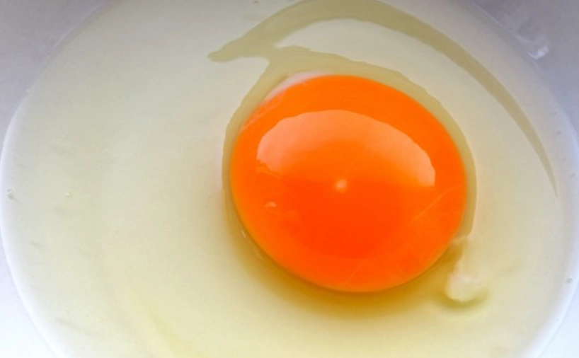 生活科學解密：蛋白質變性例子，從烹飪到美容的關鍵原理