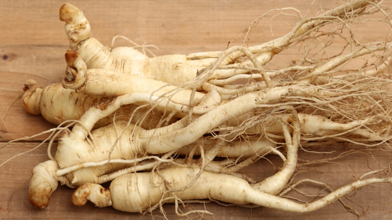 高麗人參怎麼吃才有效？完整功效解析與常見迷思破解