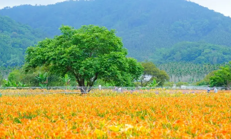日月潭包棟民宿 日月潭包棟民宿
