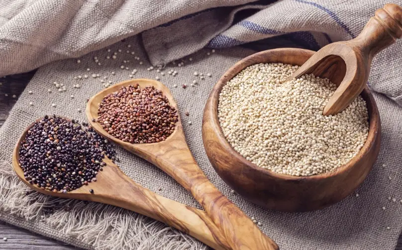 四色藜麥終極指南：從營養到烹飪的完整解析