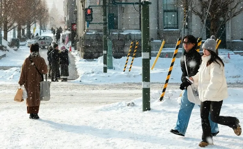 北海道冬天自由行不開車攻略：雪國漫遊完整指南