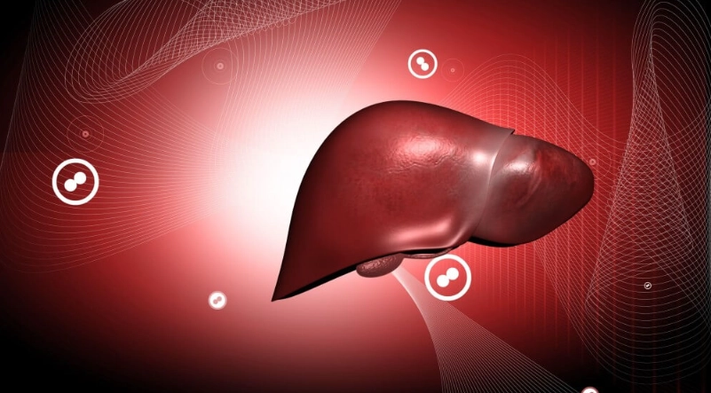 脂肪肝飲食 脂肪肝飲食