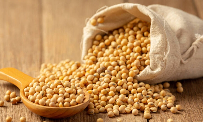 大豆蛋白是植物蛋白之王？深入剖析三大核心好處
