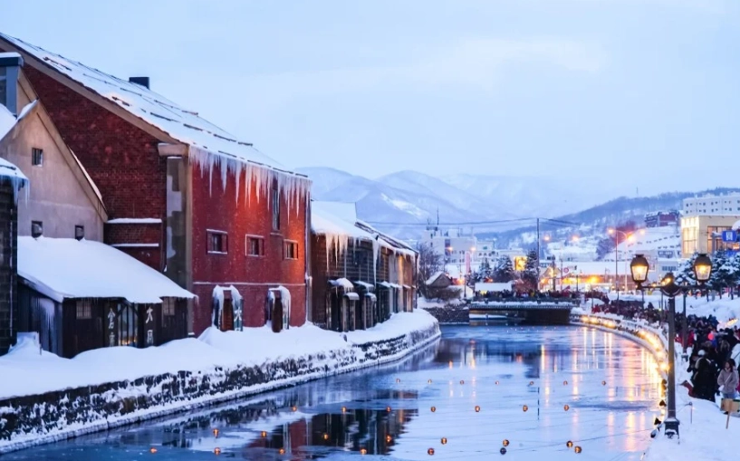 北海道不自駕 北海道不自駕