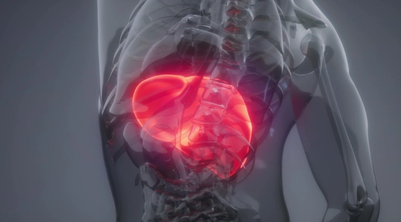 脂肪肝飲食 脂肪肝飲食