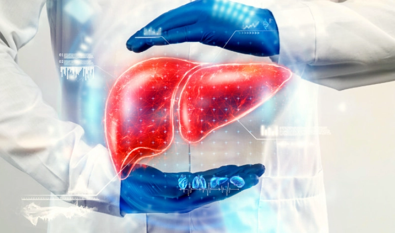 逆轉脂肪肝 逆轉脂肪肝