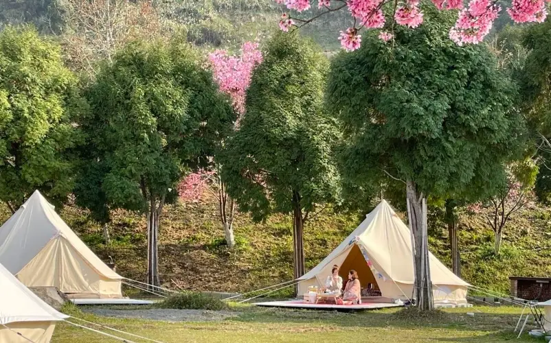 露營新手 露營新手