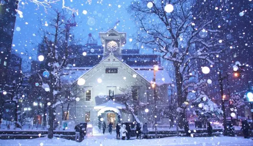 北海道不自駕 北海道不自駕