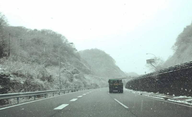 和歌山去京都：交通、行程與景點全攻略