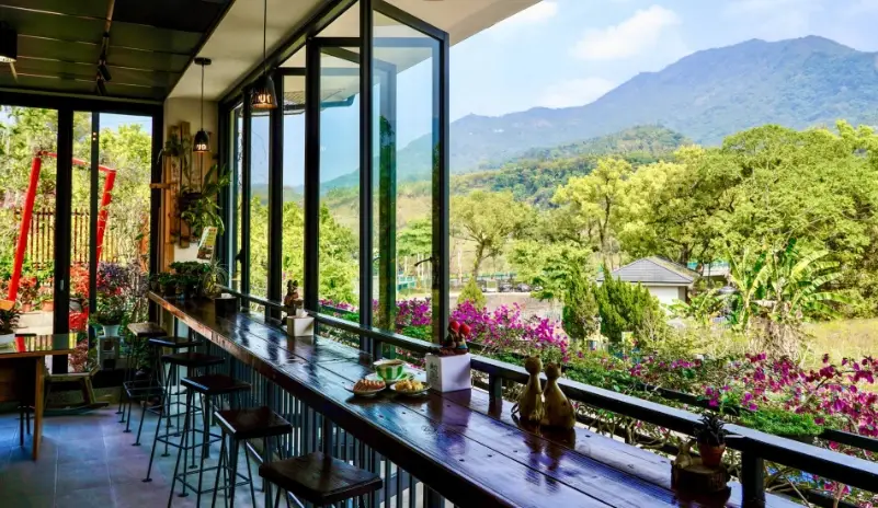 嘉義5間絕美景觀咖啡廳推薦：阿里山雲海、茶園夕陽與城市夜景一次收藏