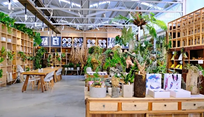 阿里山咖啡廳 阿里山咖啡廳