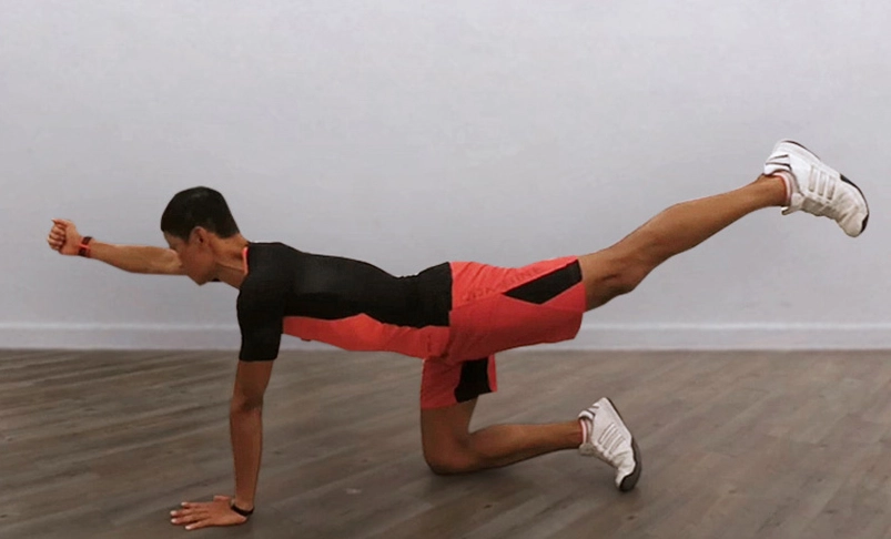 背肌訓練動作 背肌訓練動作