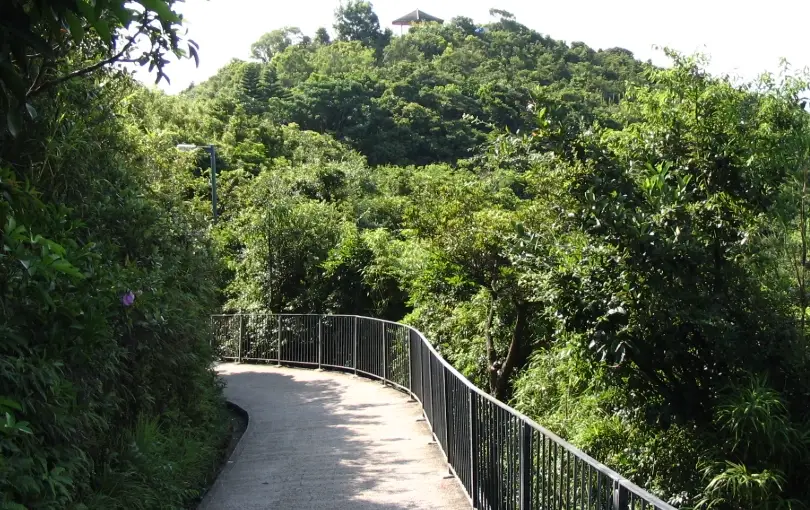 西營盤到山頂 交通 西營盤到山頂 交通