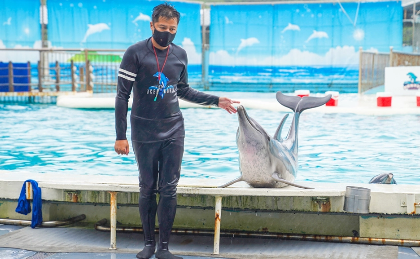 冒險大世界 交通 冒險大世界 交通