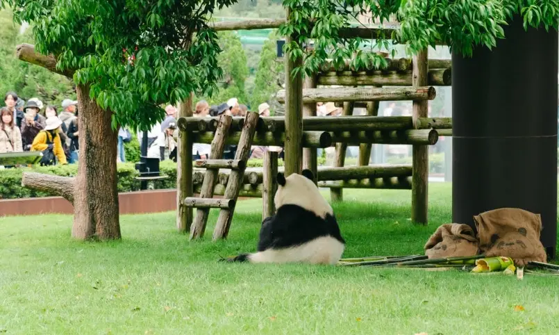 冒險大世界深度評論與攻略：門票、交通、必玩設施一次搞懂