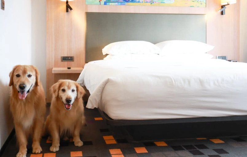 北投寵物友善溫泉飯店 北投寵物友善溫泉飯店