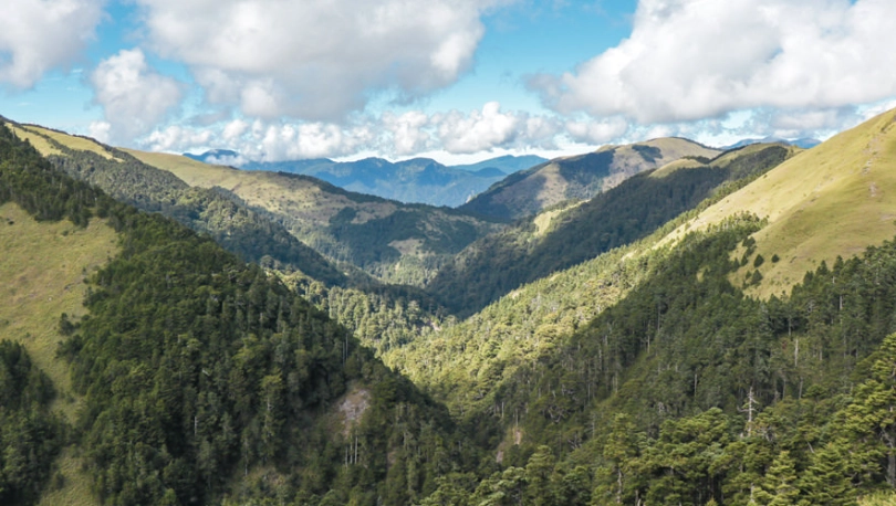 清境農場二日遊行程規劃：高山草原、綿羊秀與絕美步道全攻略