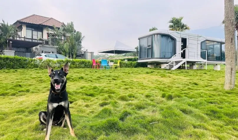 中部寵物友善住宿全攻略：親身體驗推薦與實用技巧