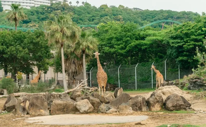 冒險大世界 攻略 冒險大世界 攻略