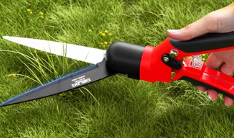 羅漢松維護方法 羅漢松維護方法